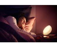 Philips Hue Lampa przenośna Go + Inteligentne gniazdko - 1469726 - zdjęcie 8
